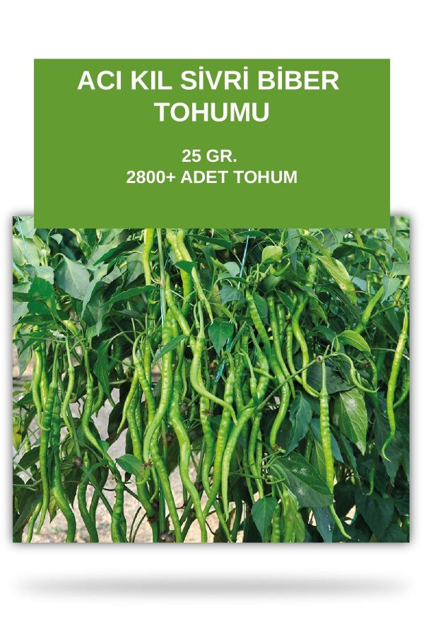 Acı Kıl Sivri Biber Tohumu 25 Gram - 1