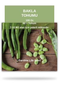 Bakla Tohumu 100 Gram - 1