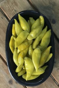 Balık Biberi Fidesi 5 Adet - 1