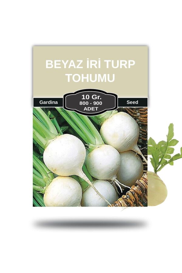 Beyaz Turp Tohumu Iri 10 Gr. 800 Tohum - 1