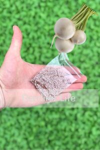 Beyaz Turp Tohumu Iri 10 Gr. 800 Tohum - 2