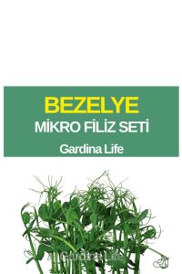 Bezelye Mikro Filiz Seti - 1
