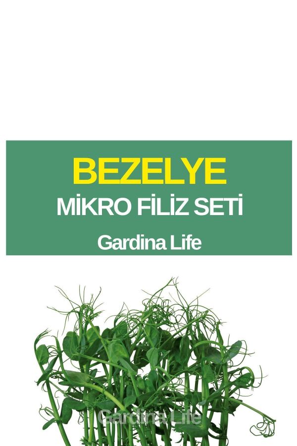 Bezelye Mikro Filiz Seti - 1
