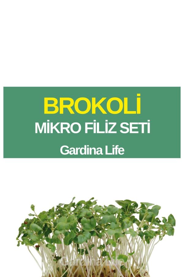 Brokoli Mikro Filiz Seti - 1