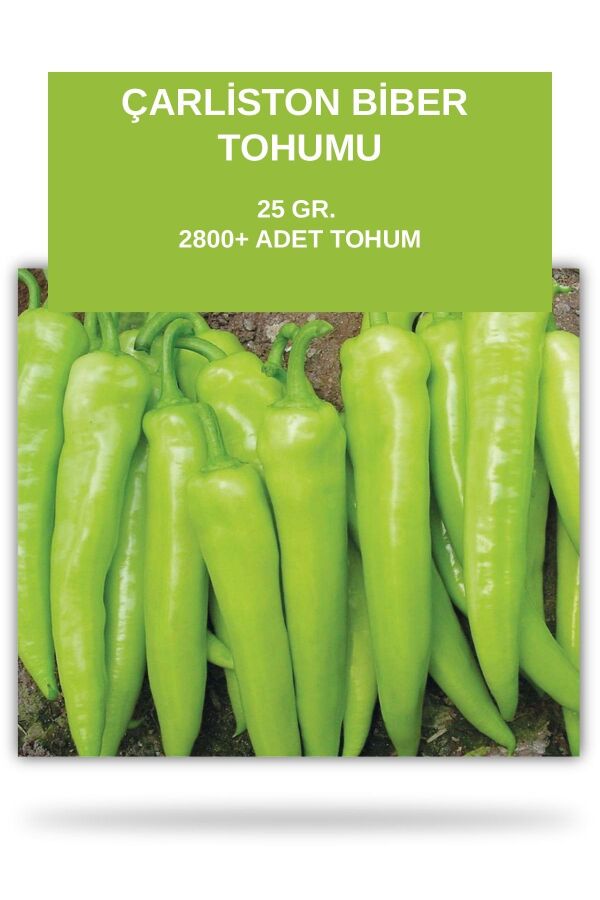 Çarliston Biber Tohumu 25 gram 2800 Tohum - 1