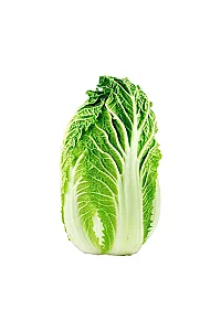 Çin Marulu Fidesi 10 Adet - 1