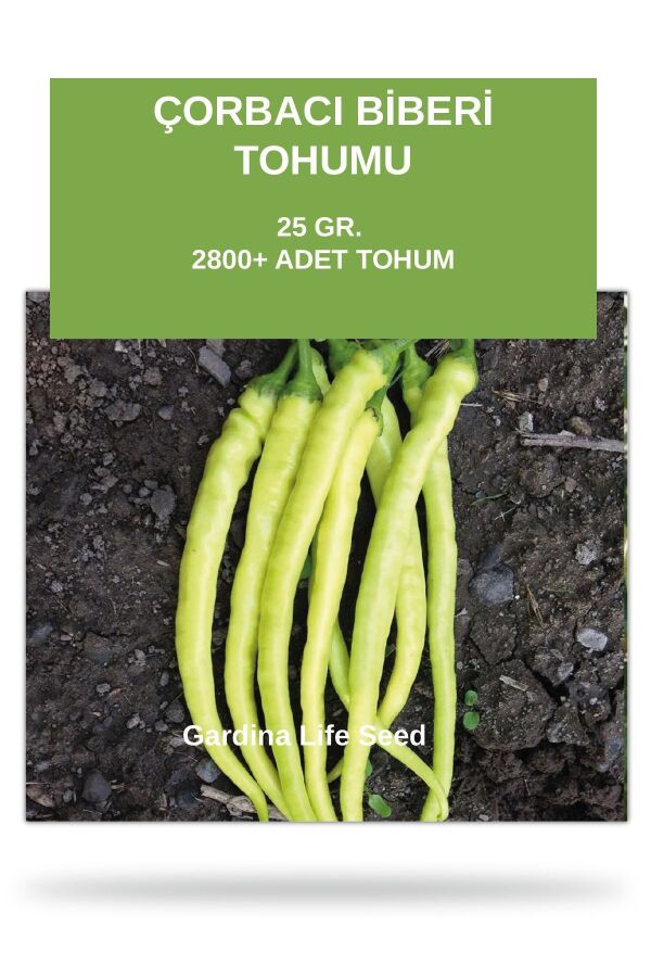 Çorbacı Biber Tohumu 25 gram 2800 Tohum - 1