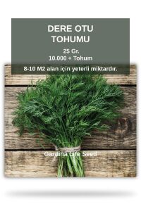 Dereotu Tohumu 25 gram 10.000 Tohum - 1
