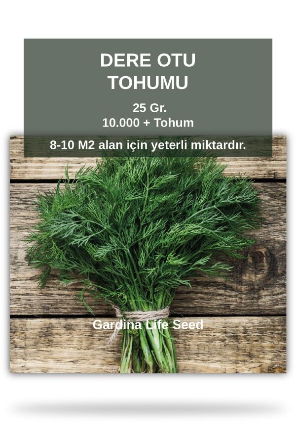 Dereotu Tohumu 25 gram 10.000 Tohum - 1