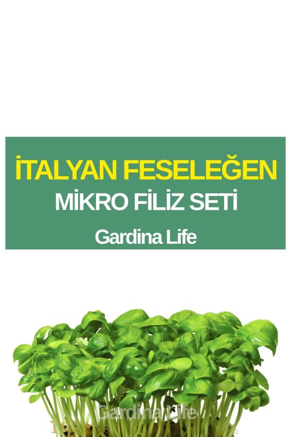 Fesleğen Mikro Filiz Seti - 1