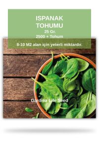 Ispanak Tohumu 25 gram Geniş Yaprak ( 2200 Adet Tohum) - 1