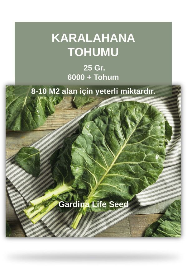Karalahana Tohumu 25 gram 6000 Tohum ( Karadeniz Lahanası ) - 1