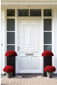 Kasımpatı Fidesi   Chrysanthemum Red - 3