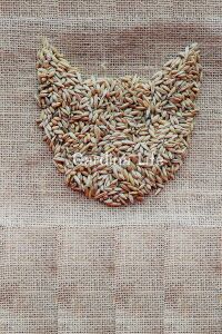Kedi Otu Kedi Çimi Mix Karışım 100 Gr. Tohum (TÜY YUMAĞI ÖNLEYİCİ) Cat Grass - 6