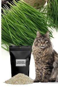 Kedi Otu Kedi Çimi Yulaf Tohumu 100 Gr. Cat Grass - 1