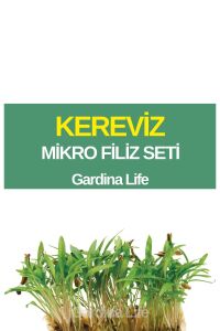 Kereviz Mikro Filiz Seti - 1