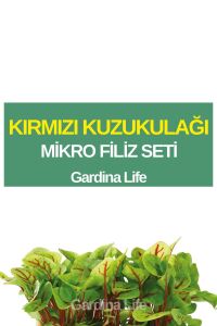 Kırmızı Kuzukulağı Mikro Filiz Seti - 1