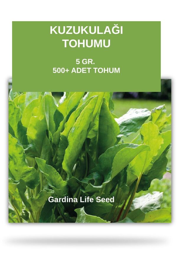Kuzu Kulağı Tohumu ( Ekşi Otu ) 5 gram 500 Tohum - 1