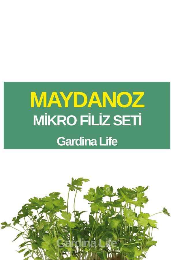 Maydanoz Mikro Filiz Seti - 1