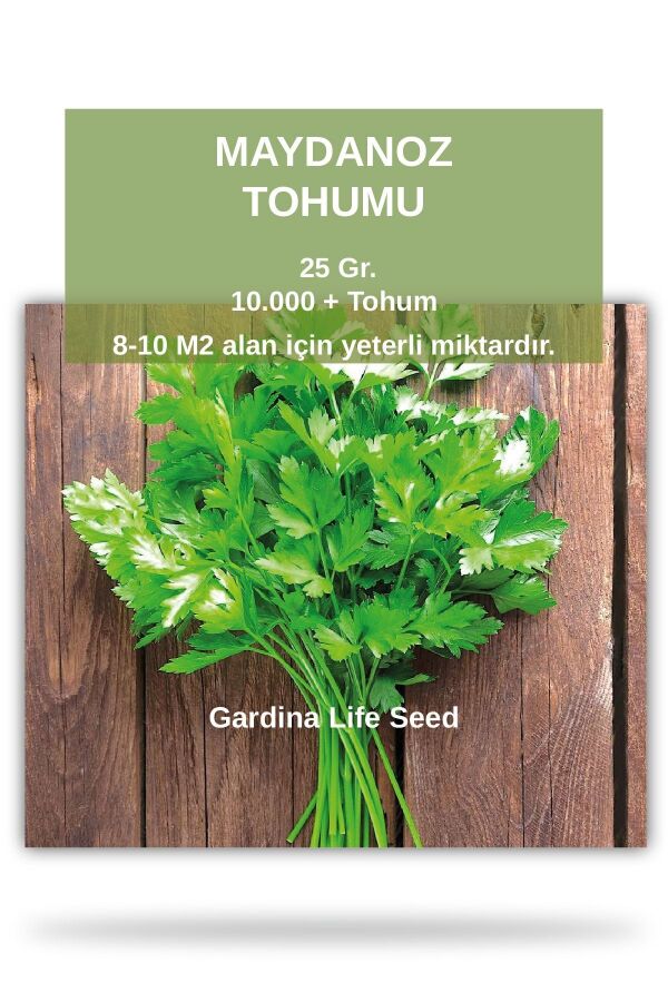 Maydanoz Tohumu 25 Gr. 10.000 Tohum - 1