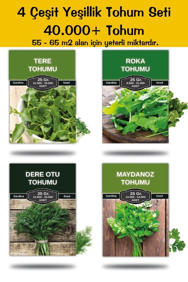 Mega Boy 4 Çeşit Yeşillik Tohum Paketi Maydanoz , Roka , Tere , Dereotu Toplam 100 Gr. 45.000 Tohum - 1