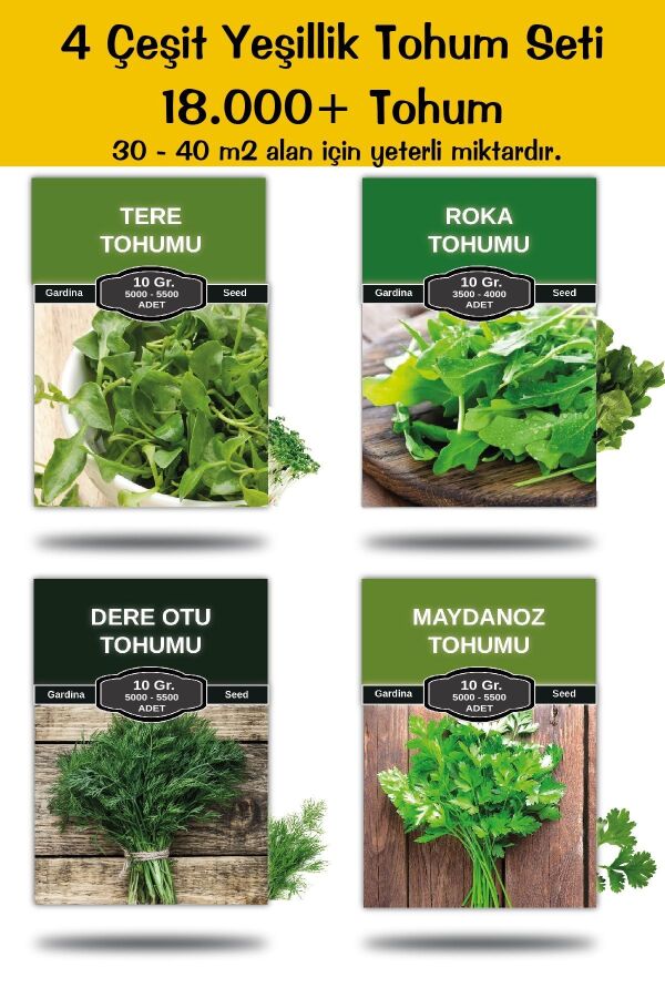 Mini Boy 4 Çeşit Yeşillik Tohum Paketi Maydanoz , Roka , Tere , Dereotu Toplam 40gr. 15.000 Tohum - 1