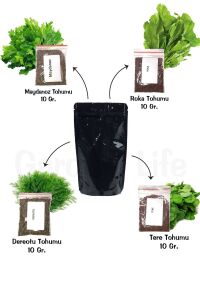 Mini Boy 4 Çeşit Yeşillik Tohum Paketi Maydanoz , Roka , Tere , Dereotu Toplam 40gr. 15.000 Tohum - 2