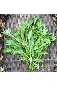 Mizuna Fidesi 10 Adet - 6