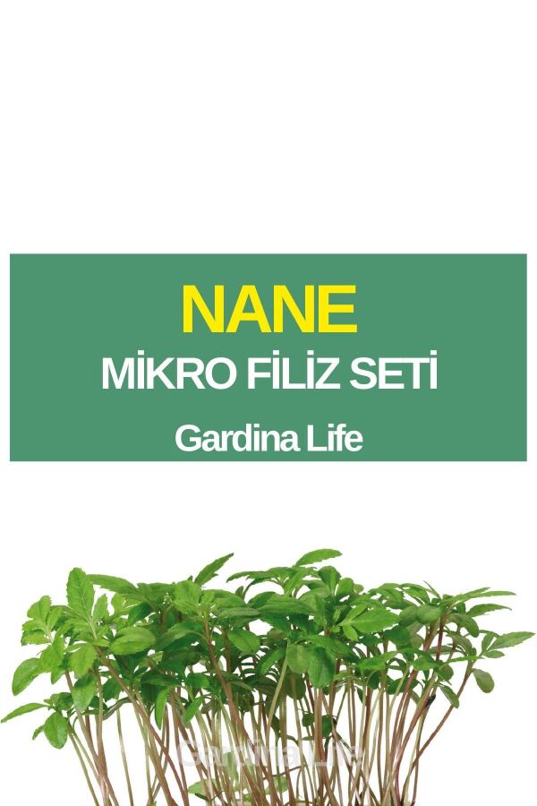Nane Mikro Filiz Seti - 1