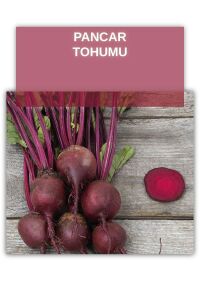 Pancar Tohumu 5 gram 700 Tohum - 1
