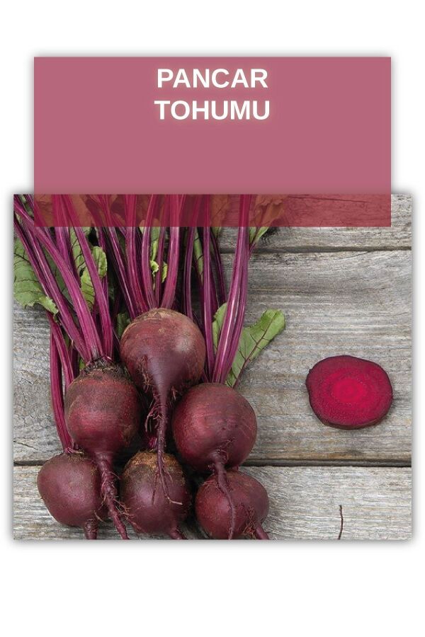 Pancar Tohumu 5 gram 700 Tohum - 1