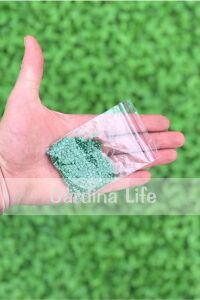 Pancar Tohumu 5 gram 700 Tohum - 2