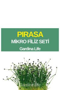 Pırasa Mikro Filiz Seti - 1