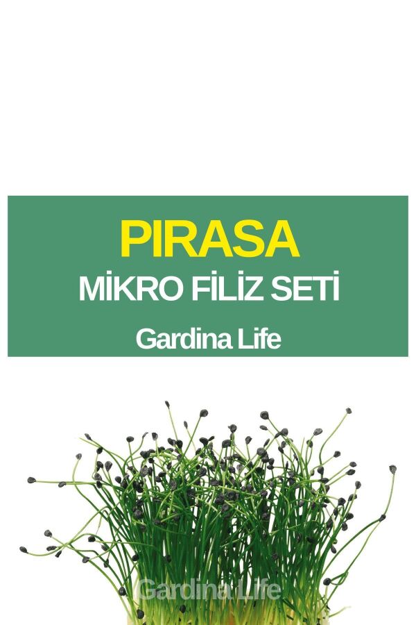 Pırasa Mikro Filiz Seti - 1