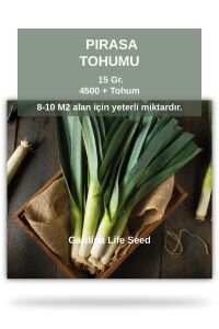 Pırasa Tohumu 15 Gr. 4500 Tohum - 1