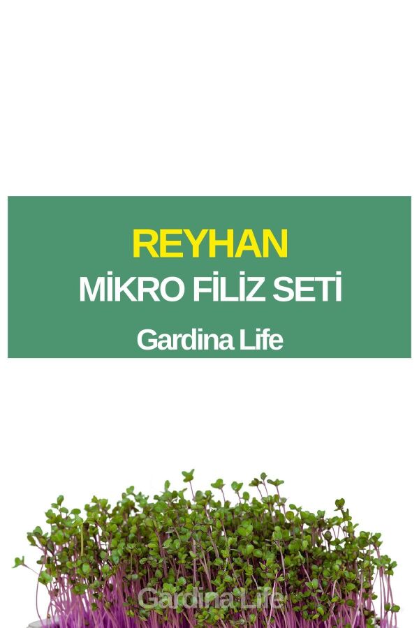Reyhan Mikro Filiz Seti - 1