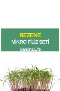 Rezene Mikro Filiz Seti - 1