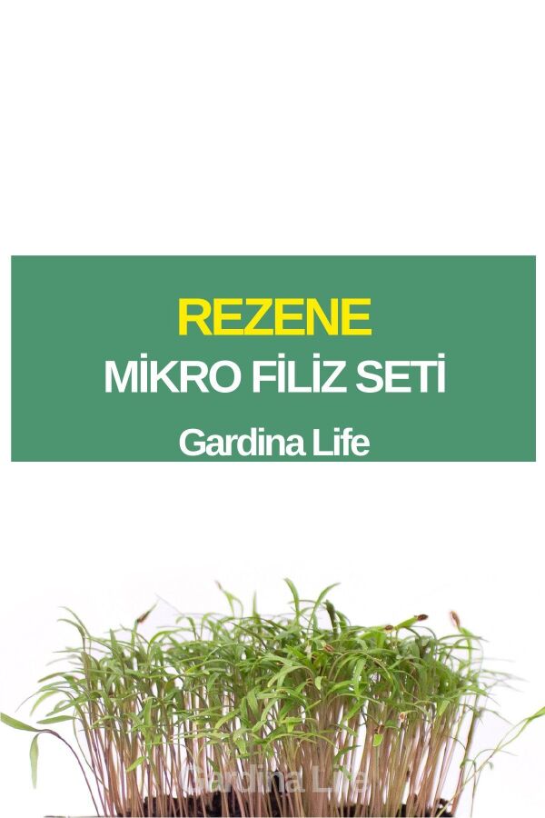 Rezene Mikro Filiz Seti - 1