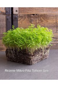 Rezene Mikro Filiz Seti - 3
