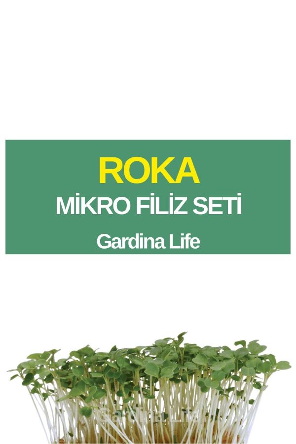 Roka Mikro Filiz Seti - 1