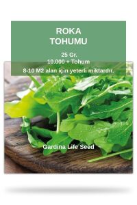 Roka Tohumu 25 Gr. Geniş Yaprak 10.000 Tohum - 1