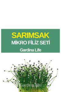Sarımsak Mikro Filiz Seti - 1