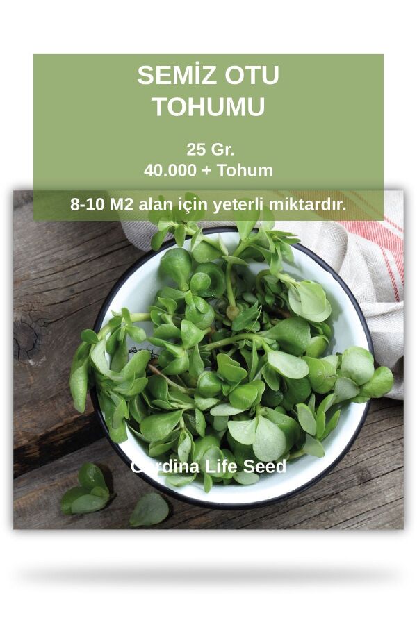 Semizotu Tohumu 25 Gr. 40.000 Tohum - 1