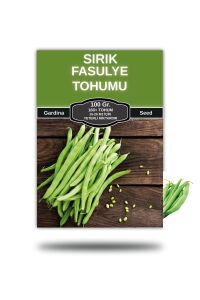 Sırık Taze Fasulye Tohumu 100 gram ( Çalı Fasulye ) - 1