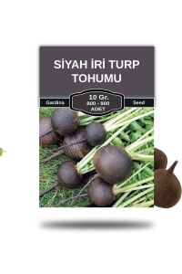 Siyah Turp Tohumu 10 Gr. 800 Tohum - 1
