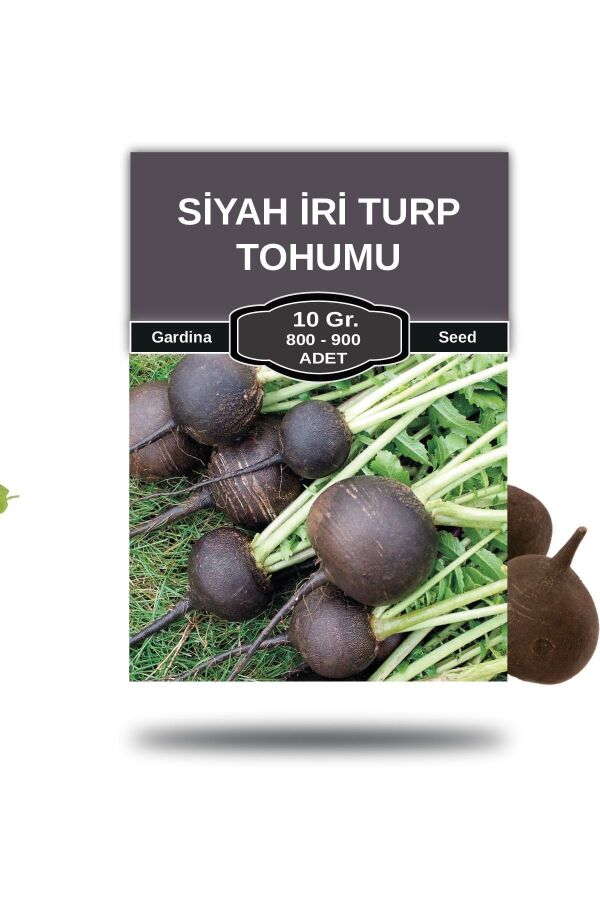 Siyah Turp Tohumu 10 Gr. 800 Tohum - 1
