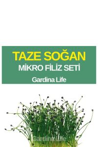 Soğan Mikro Filiz Seti - 1