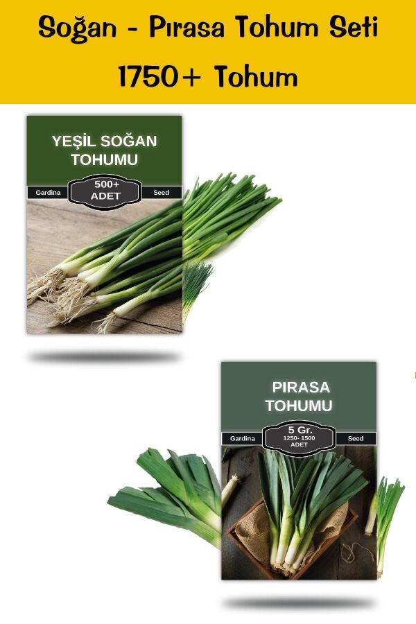 Soğan Pırasa Tohum Paketi 1750 Tohum - 1