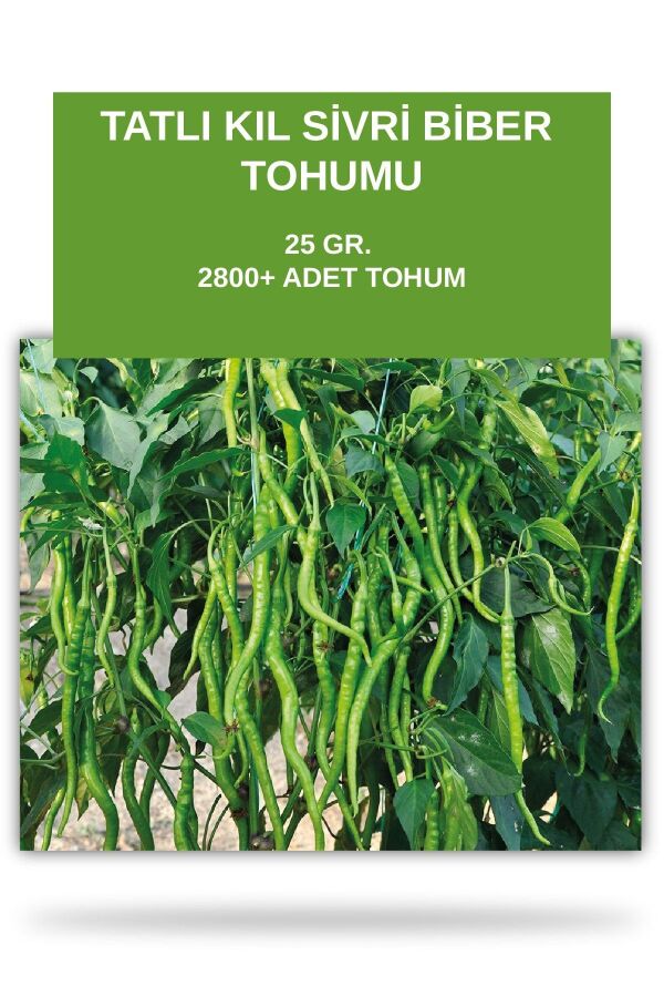 Tatlı Kıl Sivri Biber Tohumu 25 gram 2800 Tohum - 1