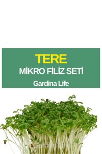 Tere Mikro Filiz Seti - 1